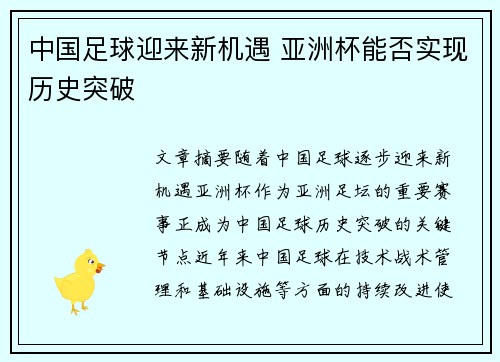 中国足球迎来新机遇 亚洲杯能否实现历史突破