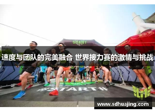 速度与团队的完美融合 世界接力赛的激情与挑战